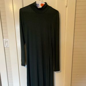 Ankle length Wilfred Free mock neck dress.